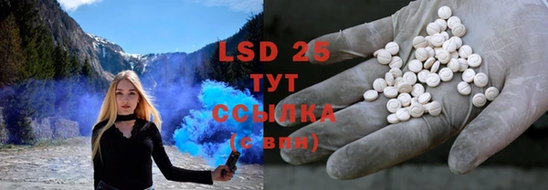 бошки Новозыбков